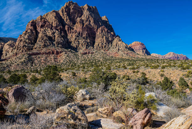 istock Mojave Desert Landscape on The First Creek Trail 2153286906
