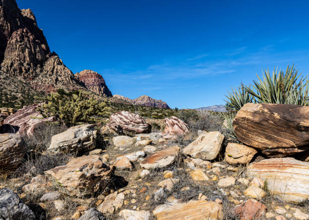 Colorful Rock Formations and The Rainbow Mountains on The First Creek Trail, Red Rock Canyon National Conservation Area, Mountain Springs, Nevada USA