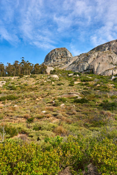 South African mountainside scenics, Western Cape