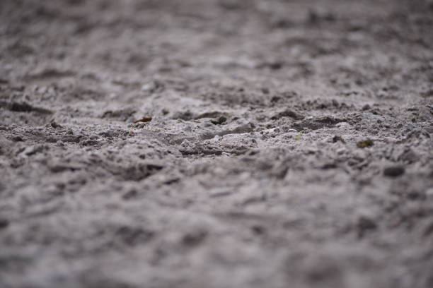 Sandy ground with various of sharpness as a close up