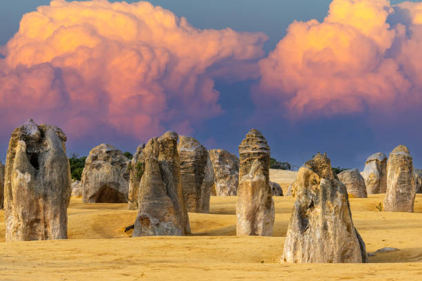 The Pinnacles, Nambung National Park