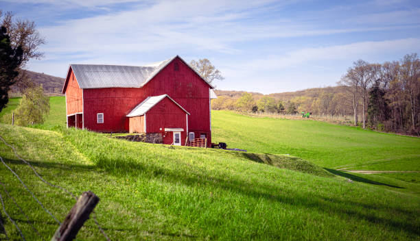 A red barn sits in a rural field in New York State farming community. The spring grass and blue sky sets an idyllic scene.