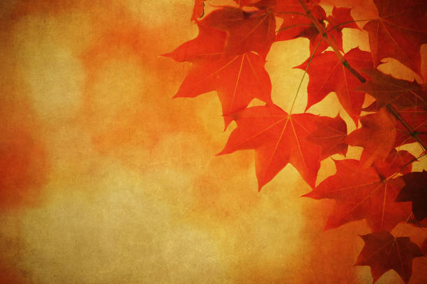 Autumn leaves over old paper. Perfect grunge fall background.