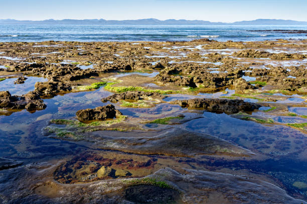 Botanical Beach, Port Renfrew, BC Canada