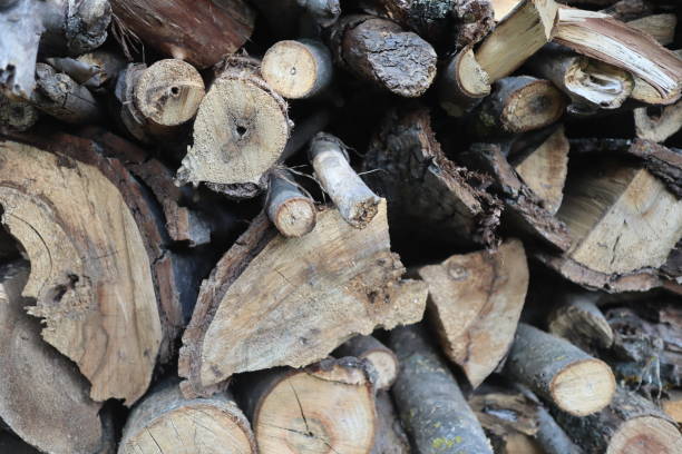 istock stack of cut firewood, close up shoot, countryside area 2153321724