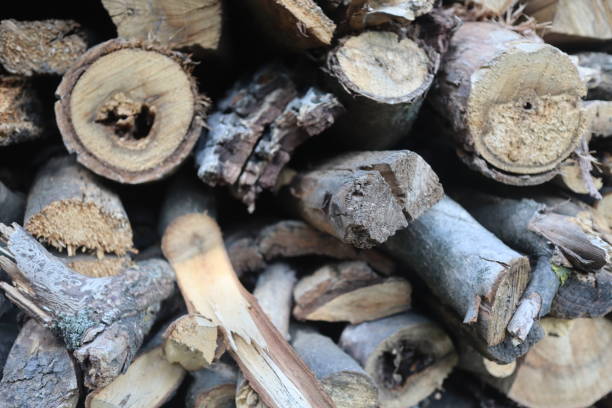 istock stack of cut firewood, close up shoot, countryside area 2153321731