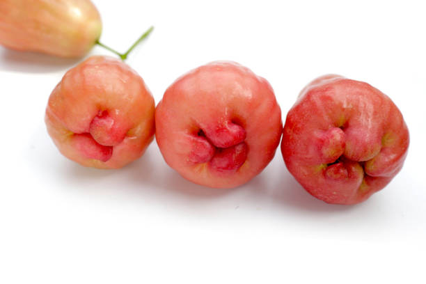 Fresh rose apple fruits on white background.