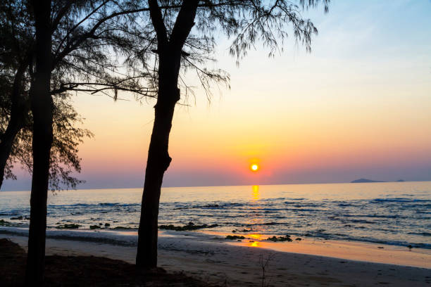 istock Sunrise and silhouette pine at beach 2153331514