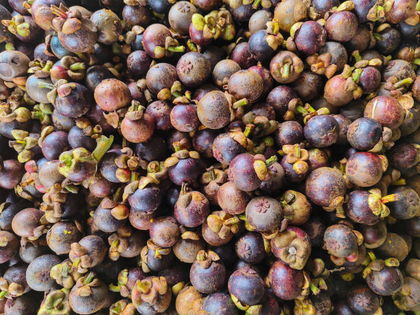 istock pile of mangosteen fruit 2153337321