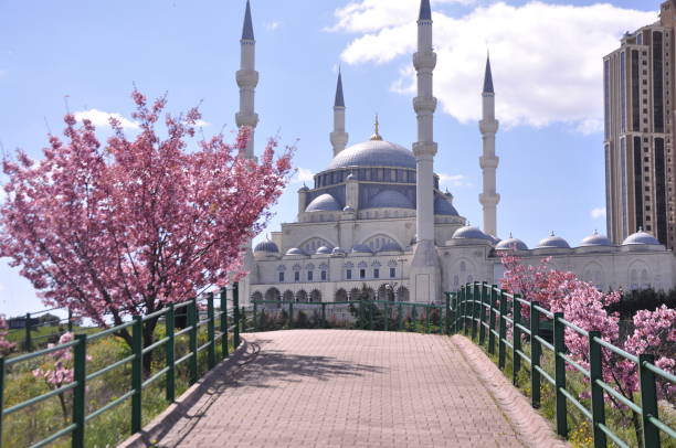 Mimar Sinan Mosque and sakura tree in Istanbul, Turkey. 03/24/2019