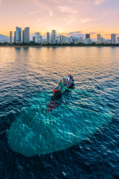 Drone view a fishing boat is netting fishes on  Nha Trang sea - Nha Trang city, Khanh Hoa province, central Vietnam