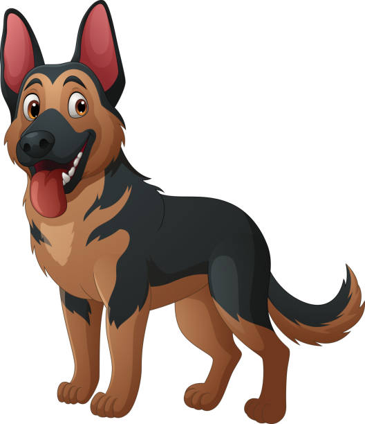 Cartoon German shepherd dog isolated on white background Vector illustration of Cartoon German shepherd dog isolated on white background german shepherd puppies stock illustrations