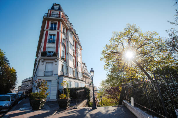 Stunning Parisian architecture with a charming residential building, tree, and lamp post on a clear sunny day in Paris, France.\n\nMontmartre, Paris, France