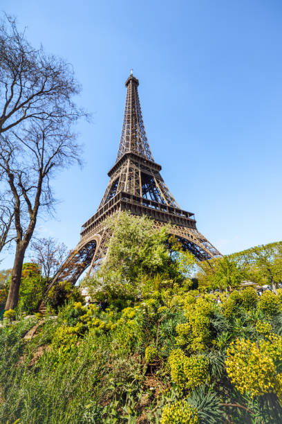 Eiffel Tower stands tall in Paris, surrounded by lush greenery and under a clear blue sky during springtime. Perfect for travel and nature themes.