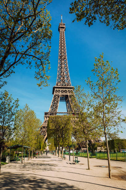 Stunning view of the Eiffel Tower framed by trees on a clear sunny day in Paris, France. Perfect for travel and tourism concepts.