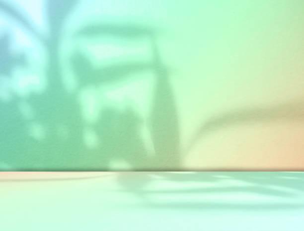 istock Green Summer Background for Presentation Abstract Studio Cyan Template Business Kitchen House Table Building Light Spaec Wall Interior Room Plant Shadow Window Desk Floor Bar Concrete Gradien Podium. 2153351006