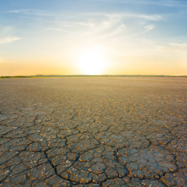 istock dry cracked earch at the sunset 2153351590