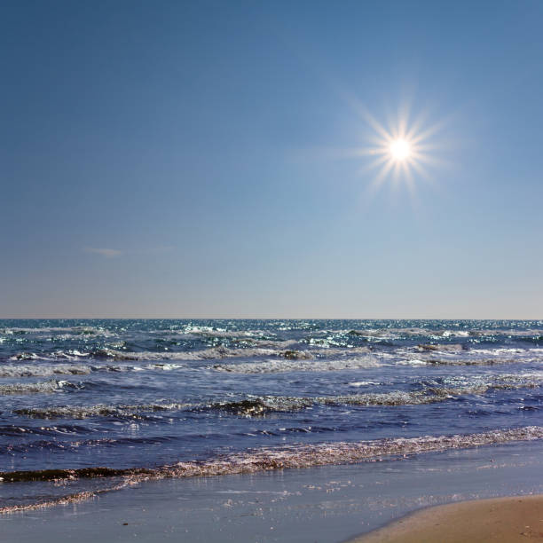 sandy sea beach at the summer sunny day