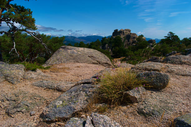 view of spring mountain landscape near Madrid, Spain
