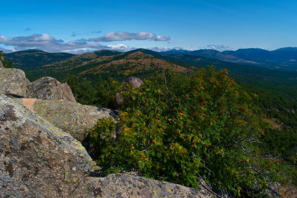 istock landscape, view, mountains, spain, nature, plants, spring, flora, nature, sunny, 2153354725