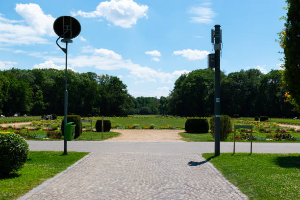 istock Landscape in Margaret Island 2153356966