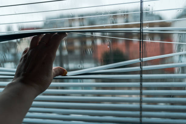istock Close up hand opens jalousie against through window 2153358846