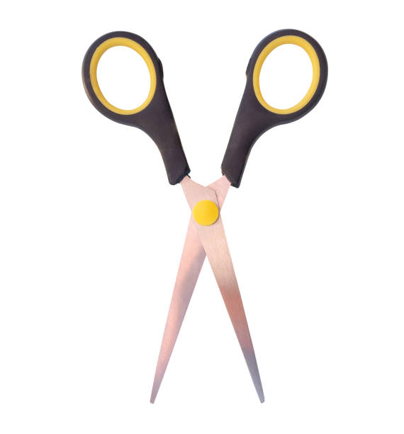 istock Top view of a pair of small multipurpose scissors with black handle isolated on white background with clipping path 2153362155