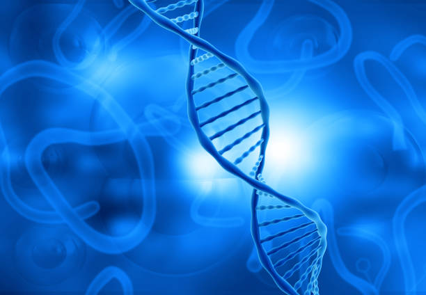 DNA strand on blue color background. 3d illustration