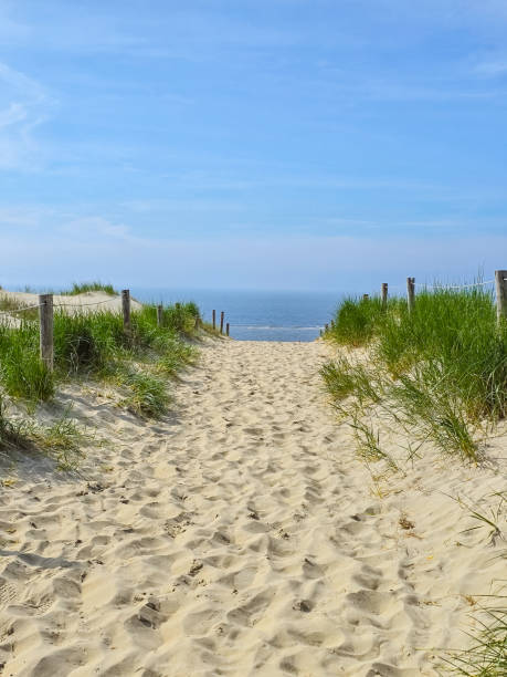 istock A serene path winds through lush green grass towards the sandy beach, inviting exploration and relaxation 2153364624