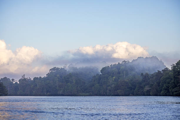 istock Moring light over a river and a rainforest jungle 2153364916