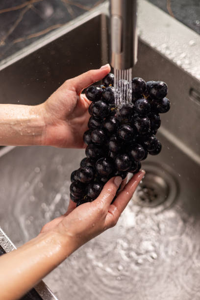 Close up of washing grape under faucet.