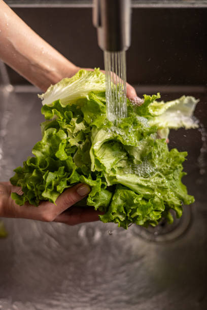 istock Washing iceberg lettuce for salad! 2153367895
