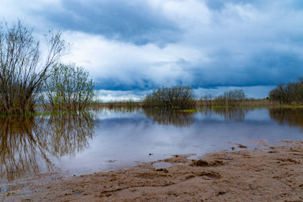 istock Calm Wetland Landscape with Reflections and Cloudy Sky 2153369411