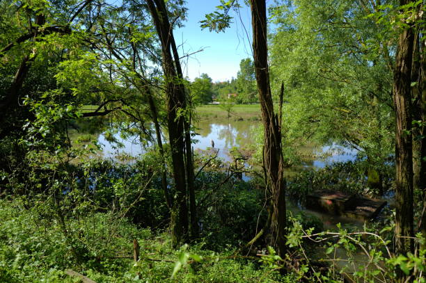 istock Flooding of a river in Lombardy 2153372841