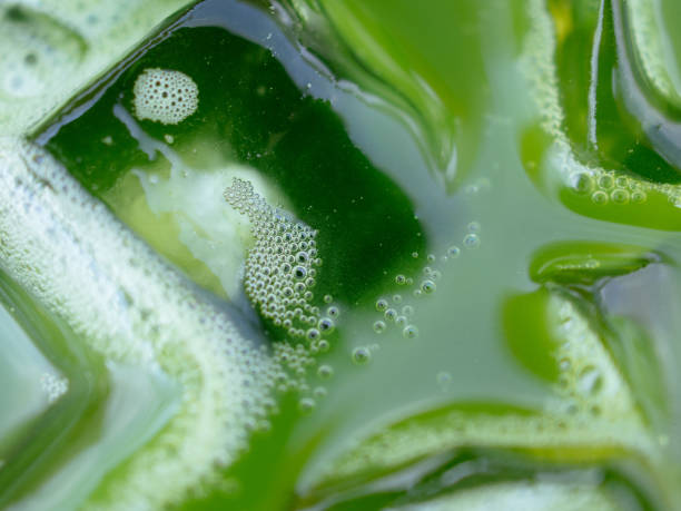 istock iced green tea close up 2153374210