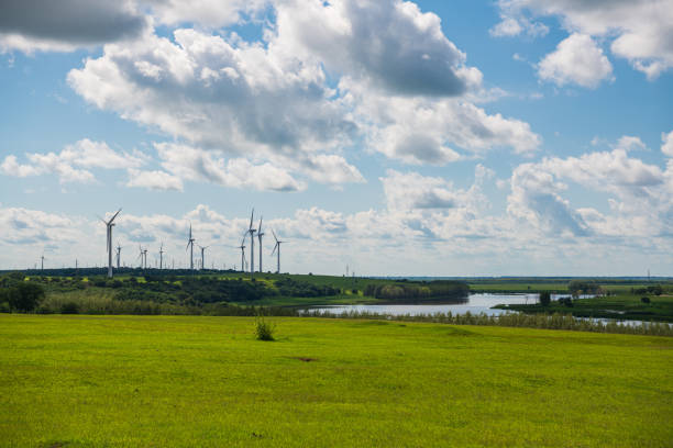 Daqing City Duerbot County Prairie Windmill Blue Sky and White Clouds