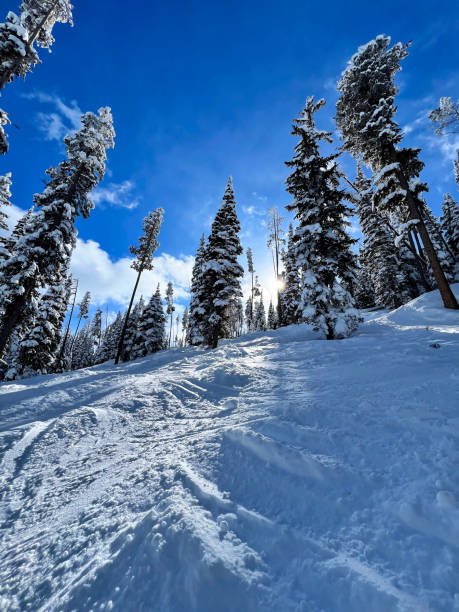 istock Scenic winter forest hills slopes at ski resort 2153383087