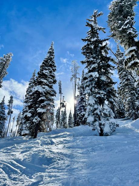 istock Scenic winter forest hills slopes at ski resort 2153383090