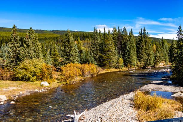 istock A drive through Clearwater County Alberta Canada 2153392904