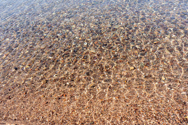 Shimmering clear water flows over a pebbled beach rich with seashells, capturing a tranquil, sunlit moment of natural beauty.