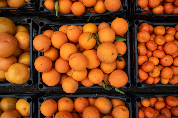 istock Fresh oranges in the plastic crate at the market. 2153397159