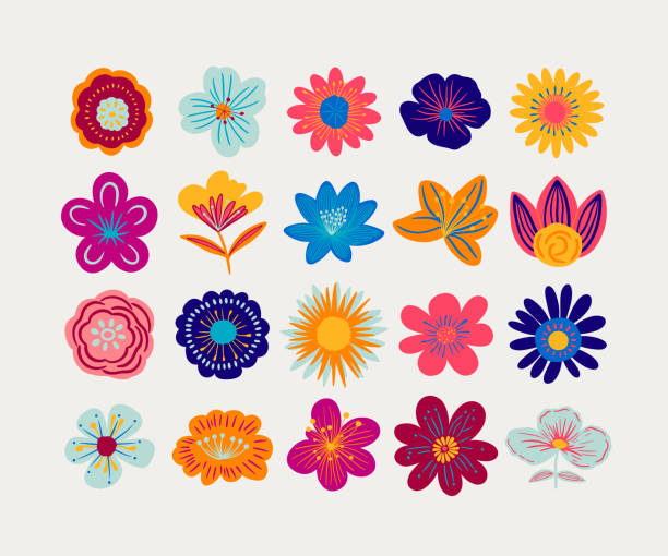 Colorful Flower Clipart Collection Stock Vector A vibrant collection of flower clipart vectors. Each flower is uniquely designed with bold colors, intricate patterns, and varying shapes, ranging from simple petals to detailed blooms. The diverse array of flowers can be used for various creative projects, such as graphic design, crafting, and digital artwork, offering a lively and cheerful aesthetic. in bloom stock illustrations