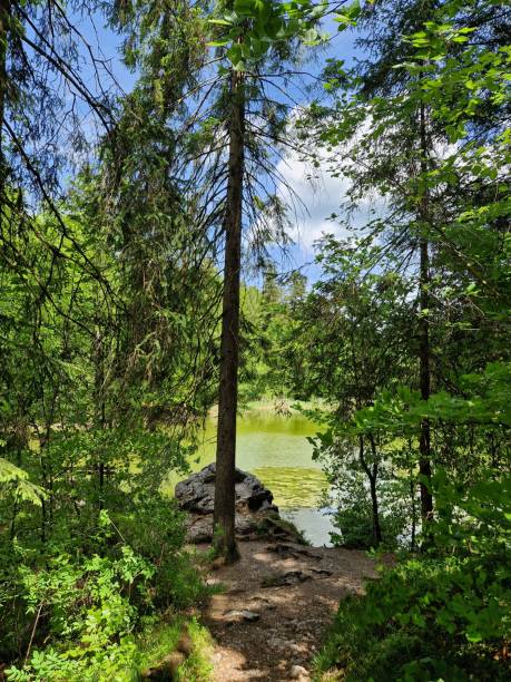 istock lake Taubensee - Bavarian alps - in forest 2153399407