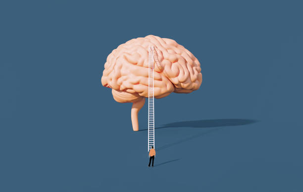 istock A Person Waiting Before A White Ladder And Brain Object 2153400645