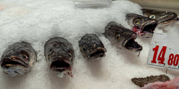 istock Fish on ice at market 2153401068