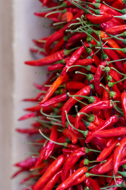 istock Hanging chili peppers on a wall at market 2153401362