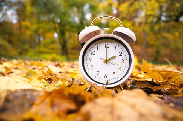 istock Alarm clock with autumn foliage, end of daylight saving time in fall, winter time changeover 2153402466