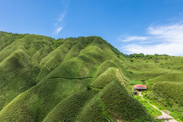 Sanjiaolun mount, aka matcha mountain