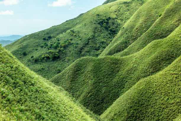 scenery of Sanjiaolun mount, aka matcha mountain, in Jiaoxi township, taiwan