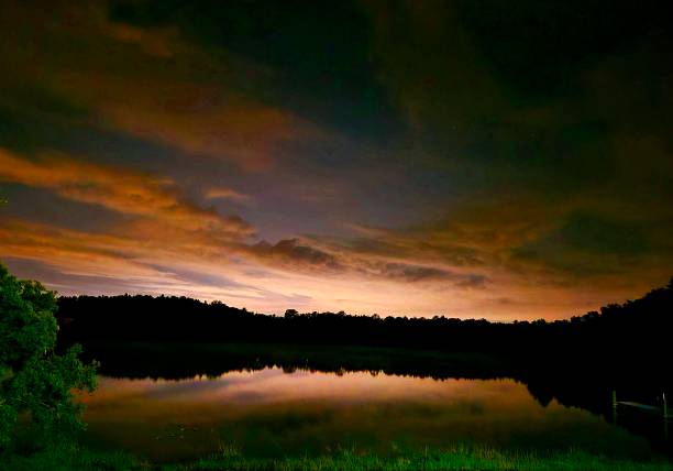 At the lake and under the stars in Tampa, FL on a Spring night.